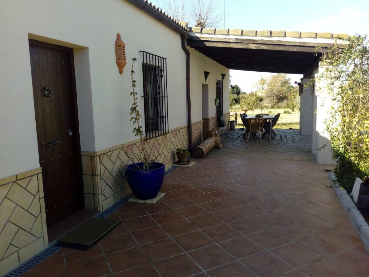 Casa Los Jinetes Carmona  Exterior foto